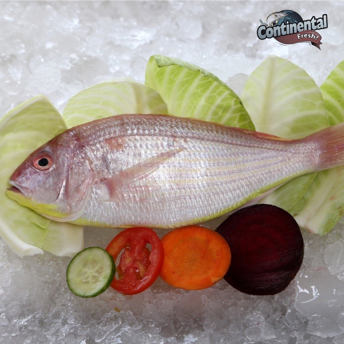 Thread Fin Beam Thread-Fin Bream(Cleaned without head, gut & tail)(Gross wt: 650 gms ...
